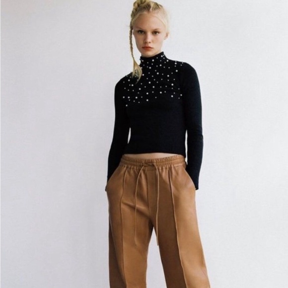 Zara Sweaters Zara Pearl Soft Feel Mock Neck Sweater Poshmark